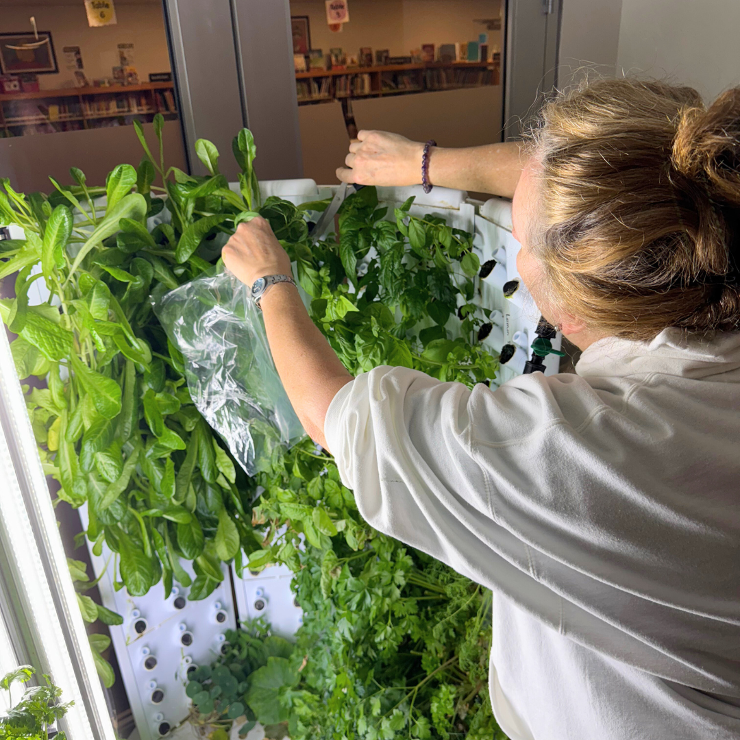 hydroponics