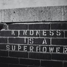 Kindness Kindness