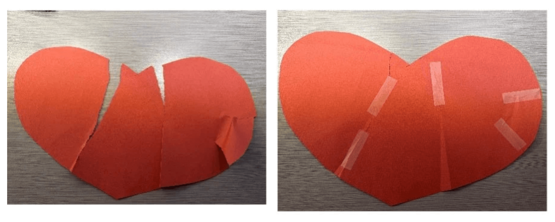 transplanting our hearts